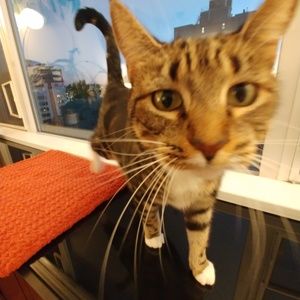 Meet your Posher, Cassie